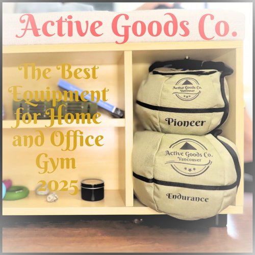 ActiveGoodsCo. Kettlebell Sandbag for fitness workout, different sizes 11Lb to 75lb. Visit to see the options… (May Vary, 1pack 20lb no weight)