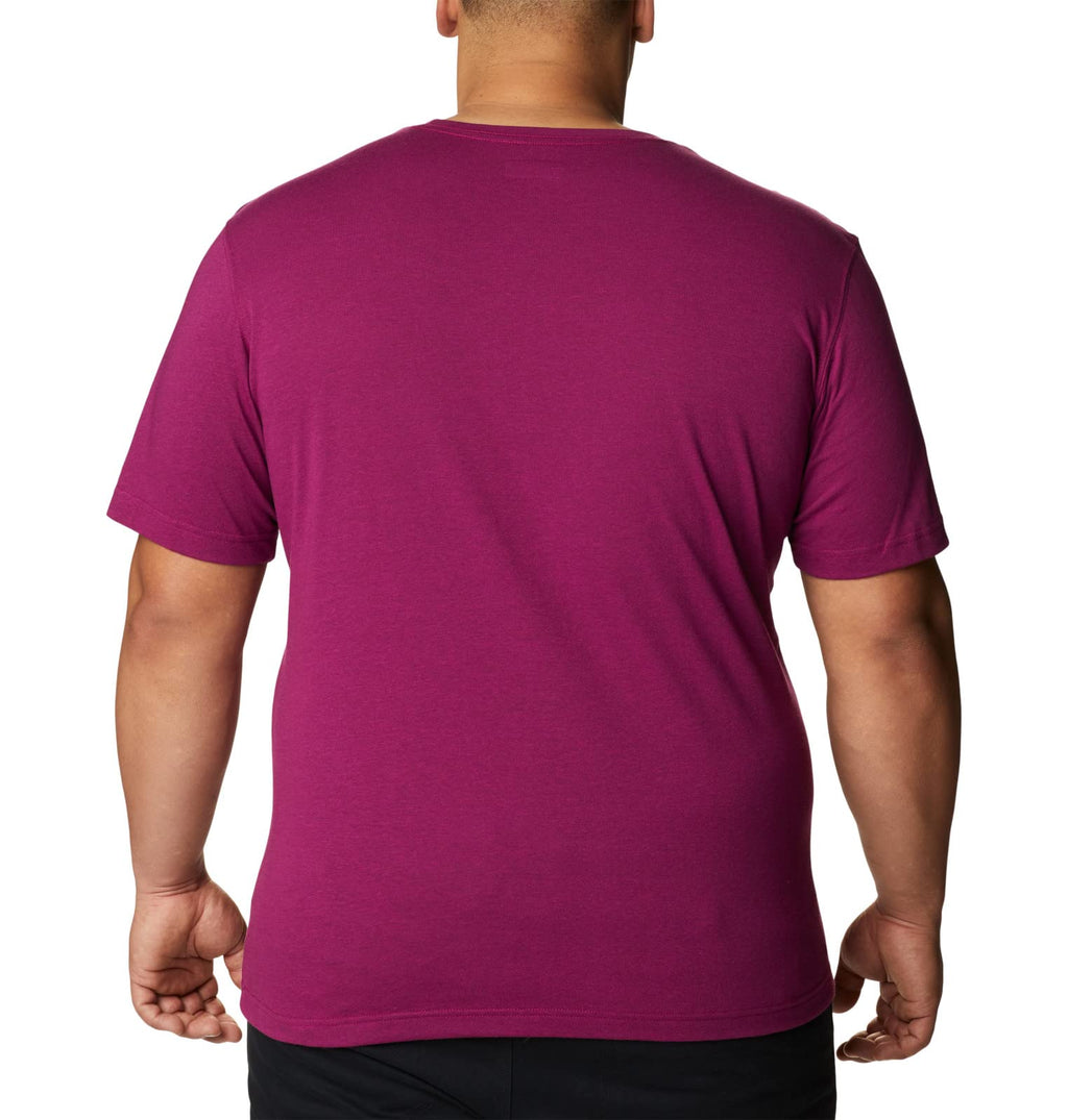 Columbia Men's Big & Tall Thistletown Hills Short Sleeve, Red Onion Heather, 2X B&T