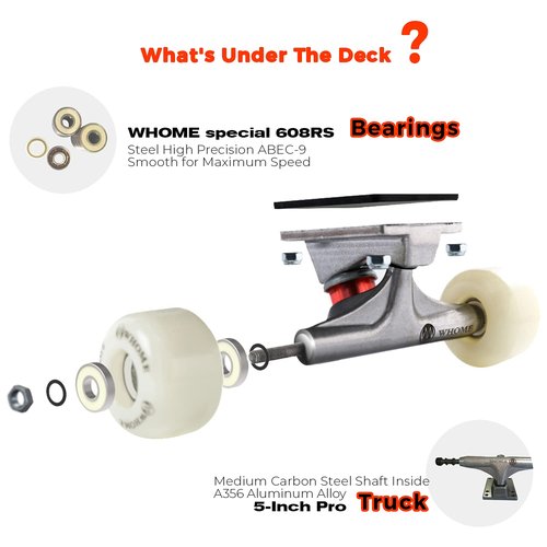 WHOME Skateboards for Adults/Kids Teens/Girl Beginner/Boy - 31"x8" Pro Standard Skateboard Complete 8-ply Alpine Maple Deck ABEC-9 Bearings with T-Tool