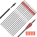 Skiennix Carbon Arrow - Hunting Target Practice Arrows with Removable Tips | 26, 28, 30 Inch, Spine 500 (6/12 PCS)