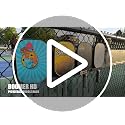 Pickleball Paddle Rack - Holds 4 or 8 Paddles, Heavy-Duty Steel with Weatherproof Coating - Variation 1