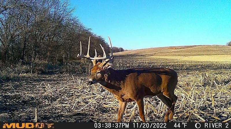 Muddy Mitigator Cellular 24MP Trail Camera with One Size Variation