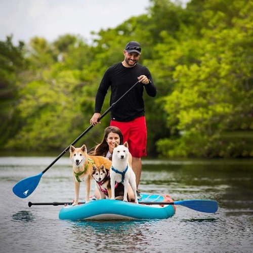 Karltion SUP Paddle - Adjustable 3-Piece Aluminum Paddle with Fiberglass Blade for Water Sports