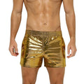 Men's Holographic Metallic Swim Boxer Briefs Trunks - Gold, Large