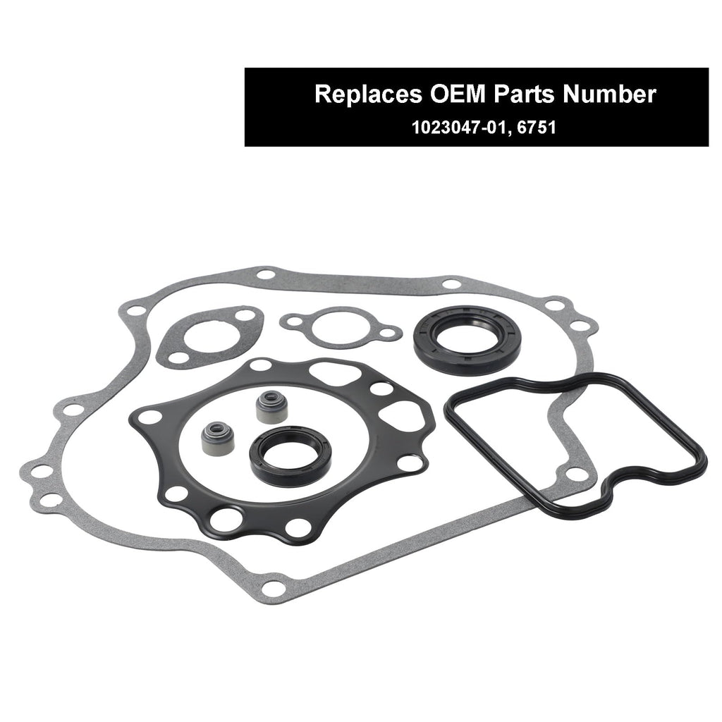 Roykaw Golf Cart Gaskets and Seals Rebuild Kit Compatible with Club Car DS/Precedent 1992-up FE290 Engine Gas Models, OEM# 1023047-01, 6751