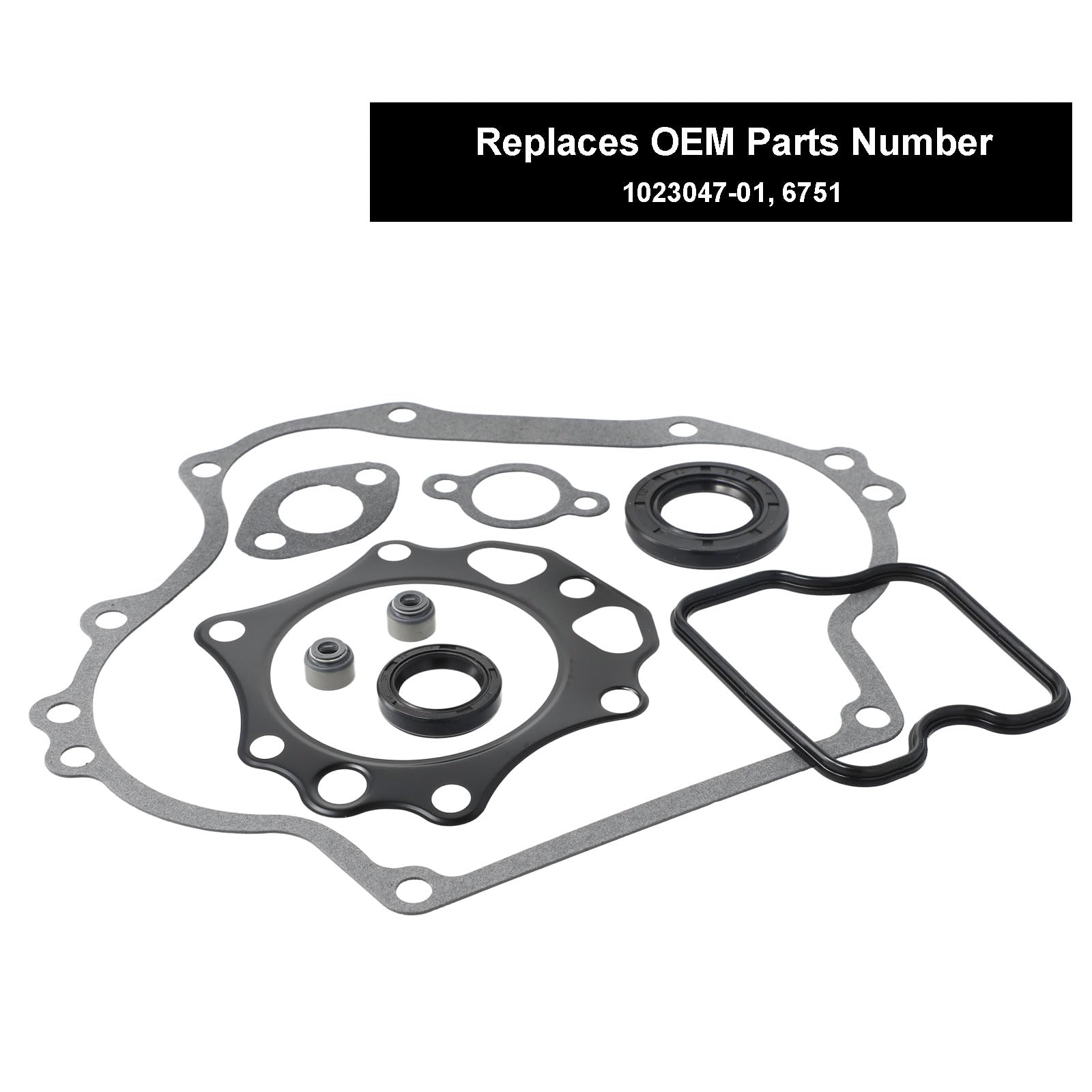 Roykaw Golf Cart Gaskets and Seals Rebuild Kit Compatible with Club Car DS/Precedent 1992-up FE290 Engine Gas Models, OEM# 1023047-01, 6751