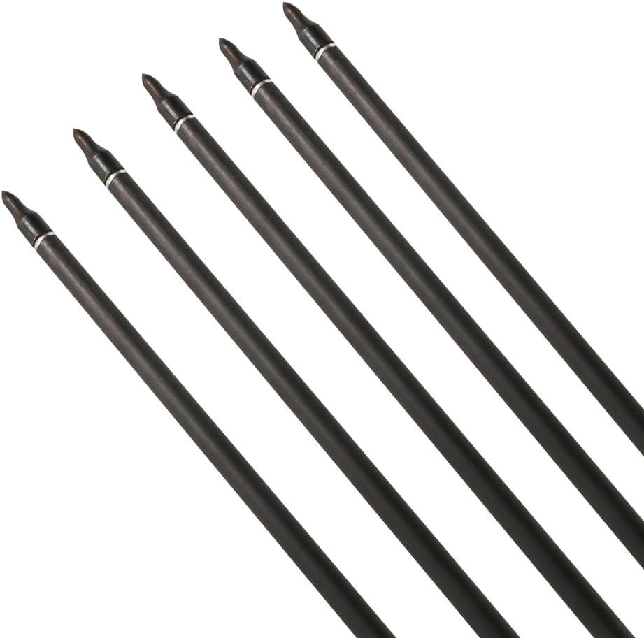 Skiennix 32-Inch Carbon Archery Arrows - Spine 400 with Removable Tips & 4-Inch Turkey Feathers | 6 Pack for Hunting & Target Practice
