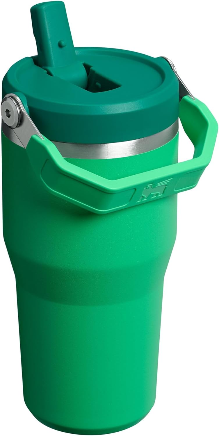 Stanley IceFlow 2.0 Tumbler - 20 oz Insulated Water Bottle with Flip Straw & Handle | Meadow Color