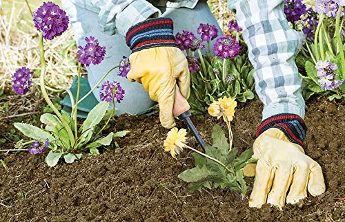 Wood Handle Hand Weeder - Tempered Steel 12-Inch Gardening Tool