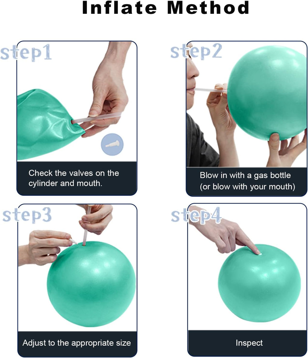 Skiennix Exercise Ball - Anti-Burst, Slip Resistant Yoga Ball for Fitness & Therapy | 25cm/55cm