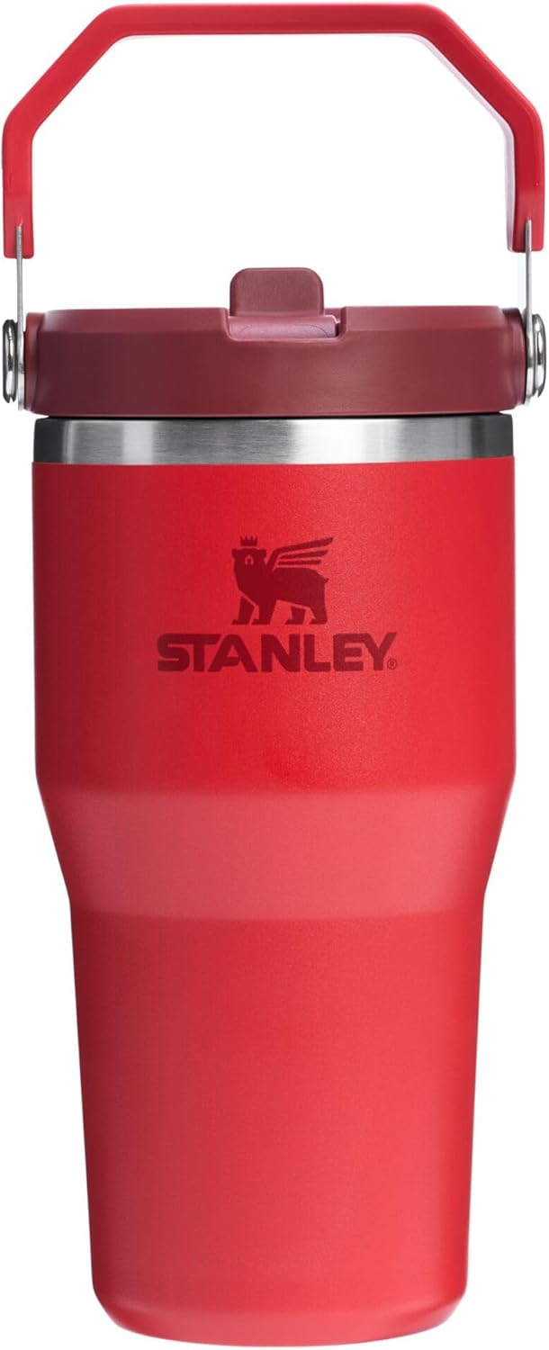 STANLEY IceFlow 2.0 Tumbler - 20 oz Insulated Water Bottle with Flip Straw & Handle | Leakproof | Chili Red
