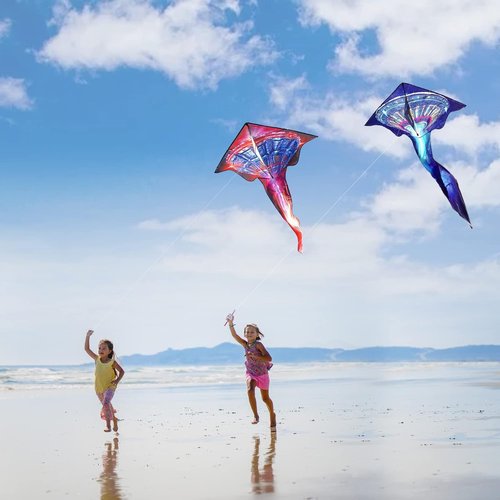 Mint's Colorful Life UFO Kite - Easy to Fly Delta Spaceship Design with 300Ft String (Red)
