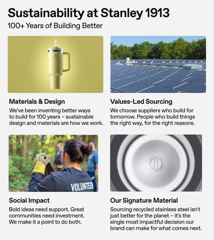 STANLEY The Everyday Suburban Mug - 24 oz Insulated Stainless Steel | Drink Through Lid | BPA-Free | Frost