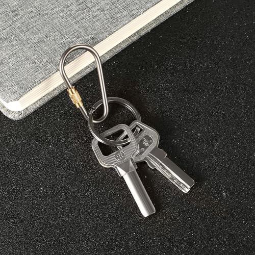Skylety Mini Titanium Locking Clips - 20 Pack, D-Ring Keychain Buckles for Outdoor & Indoor Use, Lightweight & Durable