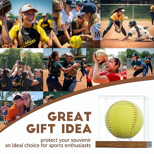 Softball Display Case Clear Acrylic Ball Holder with Wood Base - Brown, 1 Pack