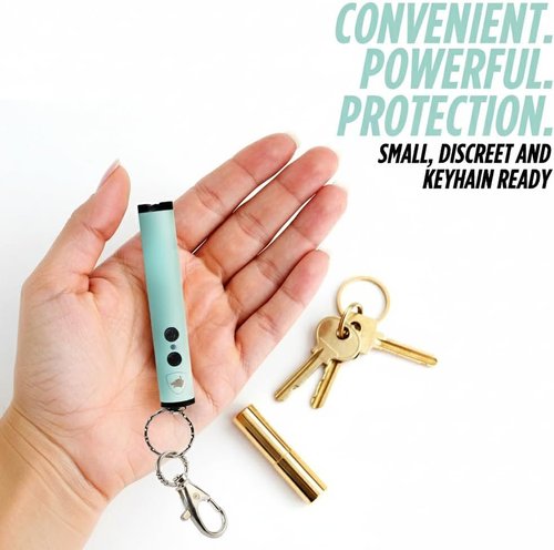 Guard Dog Security Enlight Mini Stun Gun - Compact Self Defense Keychain with LED Flashlight & USB-C Rechargeable