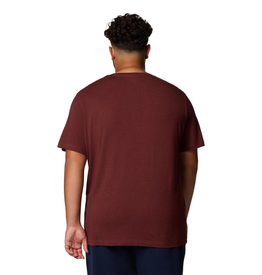 Columbia Men's Thistletown Hills Short Sleeve T-Shirt, Spice Heather, X-Large Tall