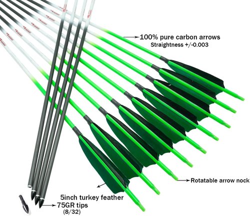 Linkboy Archery Carbon Arrows Hunting Practice Target Arrows Fluorescent with Removable Tip for Compound Recurve Long Bows, Spine 250 300 340 400 500 600 700 800, Pack of 6/12PCS