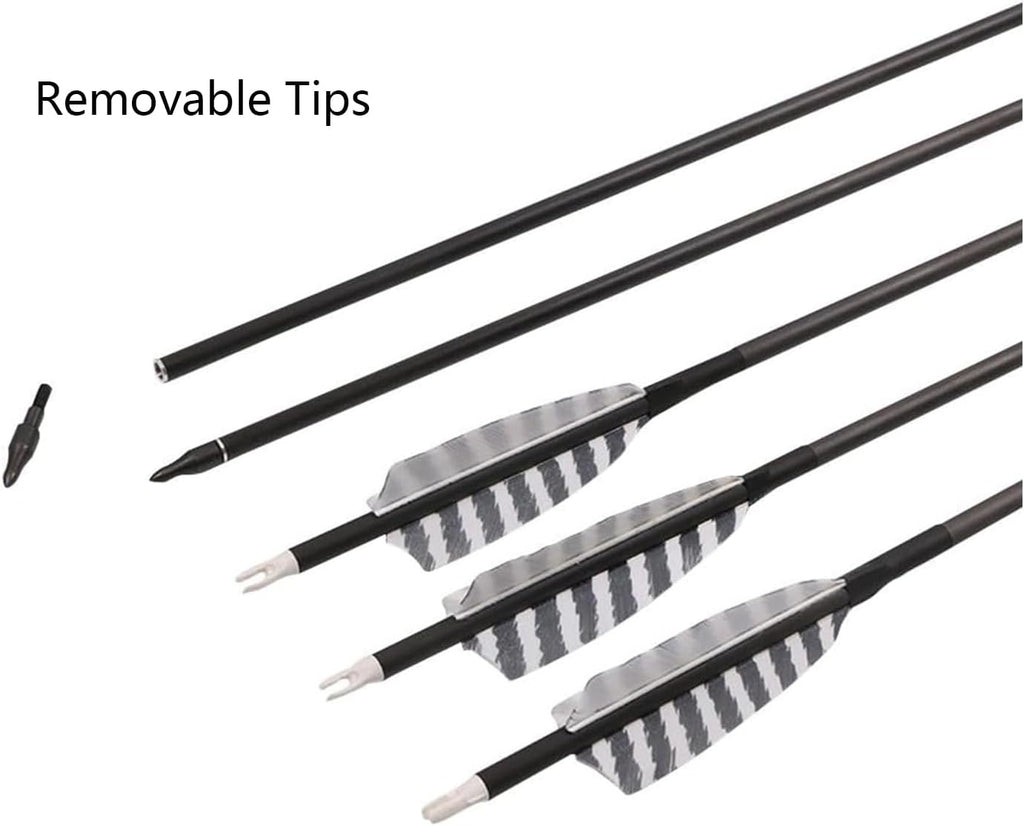 Skiennix 32-Inch Carbon Archery Arrows - Spine 400 with Removable Tips & 4-Inch Turkey Feathers | 6 Pack for Hunting & Target Practice