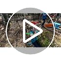 Ninja Warrior Obstacle Course for Kids - 65 ft with Saucer Tree Swing - Blue