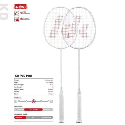 Badminton Racket Professional Graphite Shaft Badminton Set 2 Super Lightweight Shuttlecock Racquet for Training, Sports and Entertainment
