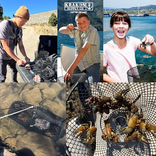 Kraken Supply Co 6-Pack Heavy Duty Crawfish Traps - Collapsible Steel Mesh Bait Nets for Creeks Ponds & Lakes