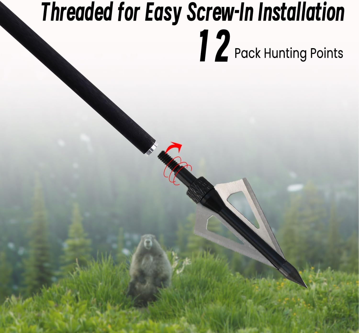 Skiennix 12Pcs Hunting Broadheads - Durable 3 Fixed Blades with Portable Case for Crossbow & Compound Bow