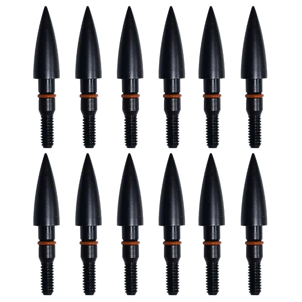 Field Points arrowheads 100 Grains Archery Field Points,9/32" Steel Screw in Archery Field Tips and Broadheads (1 Dozen 12 PCS)