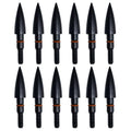 Field Points arrowheads 100 Grains Archery Field Points,9/32" Steel Screw in Archery Field Tips and Broadheads (1 Dozen 12 PCS)
