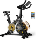 OWLSKY Exercise Bike - Quiet Indoor Cycling Stationary Bike with APP, 300 lbs Capacity, Adjustable Seat & Tablet Holder