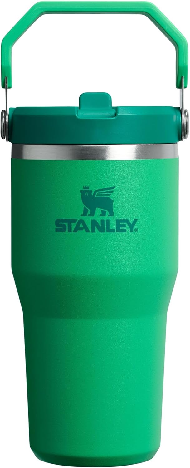Stanley IceFlow 2.0 Tumbler - 20 oz Insulated Water Bottle with Flip Straw & Handle | Meadow Color