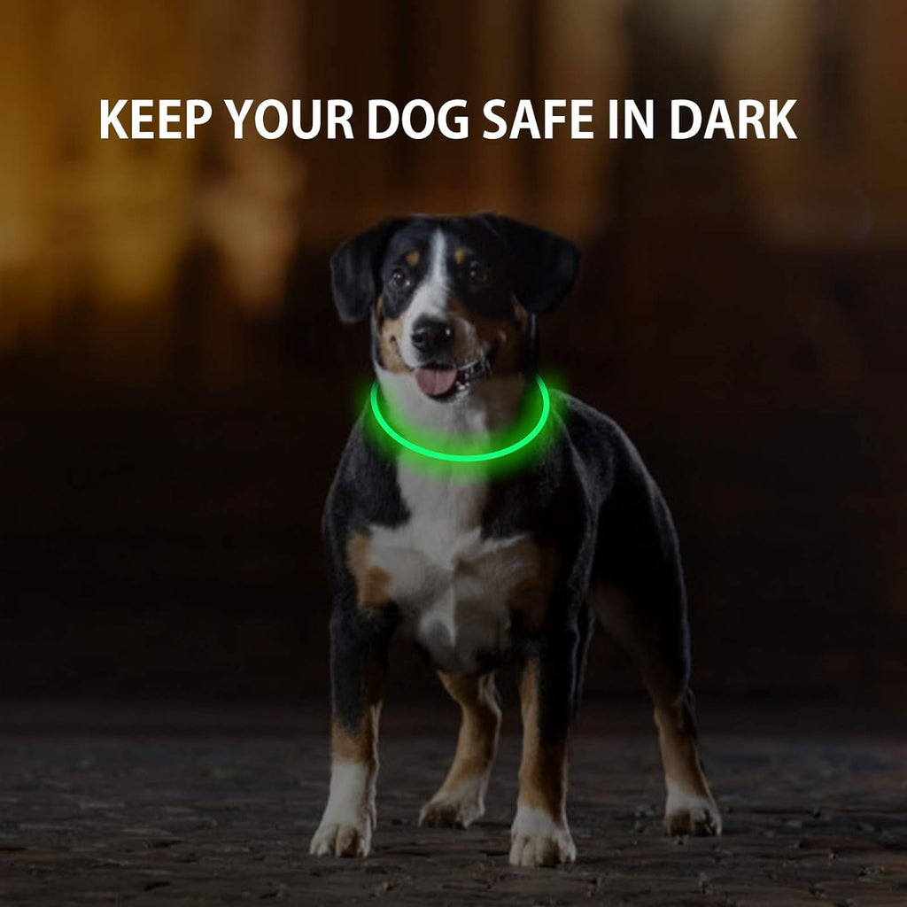 Skiennix LED Dog Collar - Rechargeable Light-Up Safety Necklace for Night Walking | 2-Pack Green & Blue
