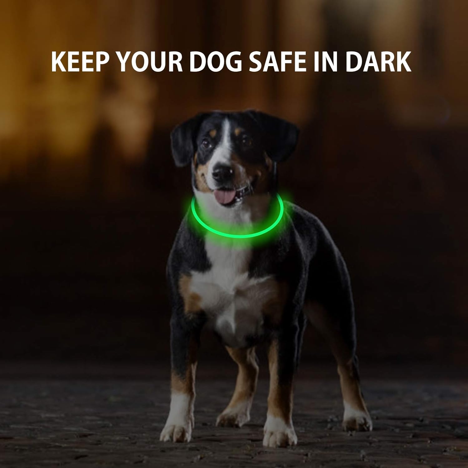Skiennix LED Dog Collar - Rechargeable Light-Up Safety Necklace for Night Walking | 2-Pack Green & Blue