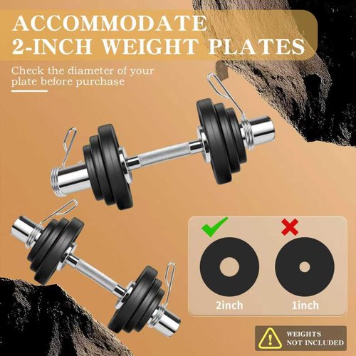 NouraVita Pair of 16" Olympic Dumbbell Handles,Loadable Dumbbell Bars for 2-inch Standard Plates,Weight Bars with 2 Pair of Spring Collars for Home Gym Strength Training (Silver)