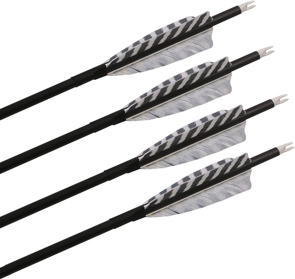 Skiennix 32-Inch Carbon Archery Arrows - Spine 400 with Removable Tips & 4-Inch Turkey Feathers | 6 Pack for Hunting & Target Practice