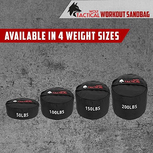 100 LB Sandbag Workout Bag for Strength Training and Fitness