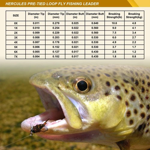 HERCULES Pre-Tied Loop Fly Fishing Leaders - 6 Pack with Tapered Wallet for Easy Storage