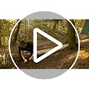 DD Hammocks Waterproof Tarp 3x3m Coyote Brown Lightweight Shelter for Camping