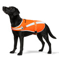 Reflective Dog Hunting Vest – Blaze Orange Safety Vest with Removable Bell, Waterproof and Lightweight (M)