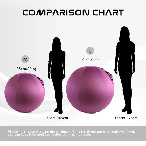 Howdy Bally Protective Cover for Home-Use Yoga/Exercise/Balance Ball with Convenient Carry Handles - Foldable, Durable Anti-Burst Cover for Sitting Ball Chair, Office Use - 55cm