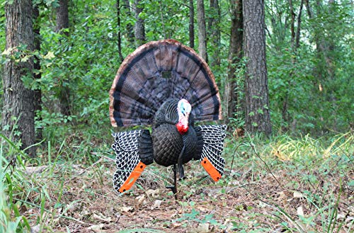 MOJO Outdoors Turkey Decoys Pack of 1 11x2x4 Inch Realistic Hunting Decoy