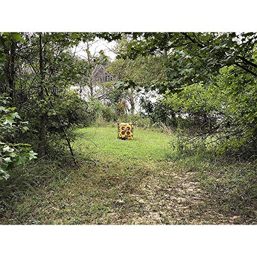 Morrell Super Duper Field Point Bow Target with Dual Faces, Yellow