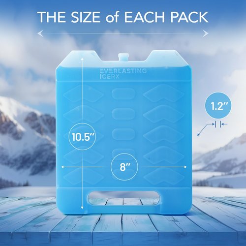 Everlasting Ice RX Large Reusable Ice Packs - BPA Free Cooler Packs with Handle (4 Pack) for Extended Cooling | Perfect for Camping, Fishing, Hiking, Beach
