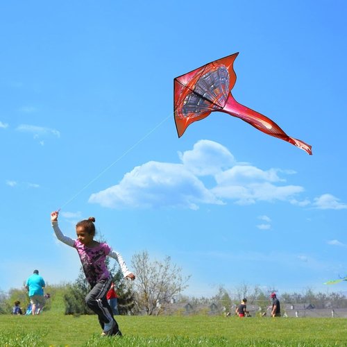 Mint's Colorful Life UFO Kite - Easy to Fly Delta Spaceship Design with 300Ft String (Red)