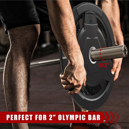 FAGUS H Weight Plate 2-Inch Rubber Coated Olympic Grip Plate for Barbell,Solid Cast Iron Weight Plates for Strength Training,Weightlifting,Crossfit,Home Gym,2.5LB Pair