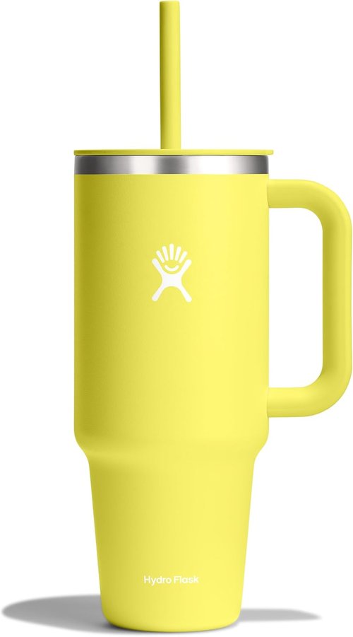 Hydro Flask Travel Tumbler - Insulated 40 Oz Stainless Steel with Handle, Lid & Straw in Cactus