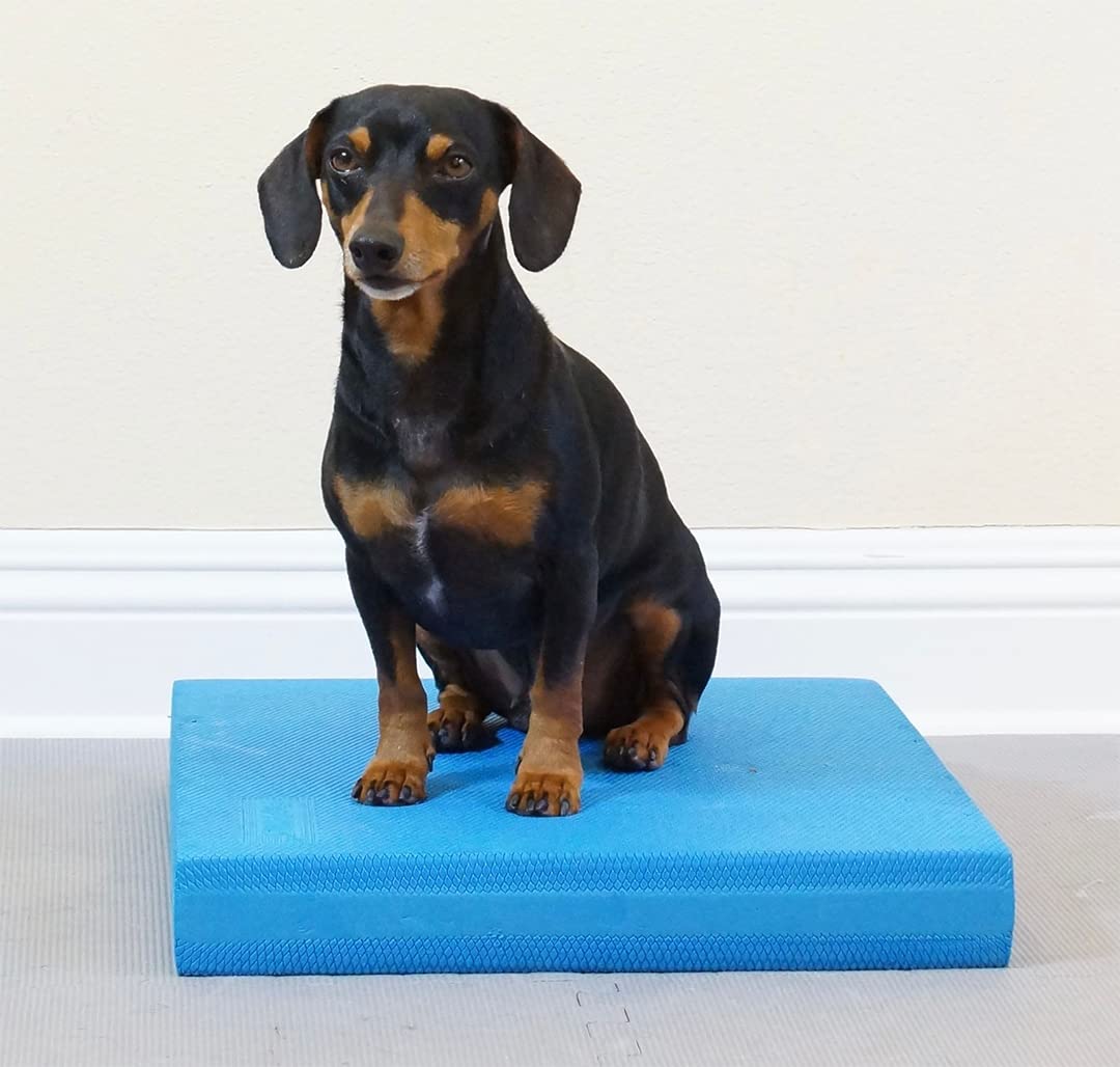 Balance Pad - FitPaws