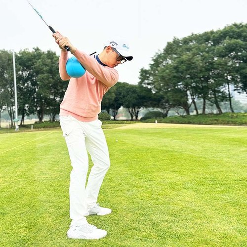 Herz The Connector Golf Swing Trainer with 8 Golf Tees, Posture Correction & Arm Structure Training Aid for All Levels | Lightweight Foam Design Fixes Slice/Hooks | Practice Indoor/Outdoor