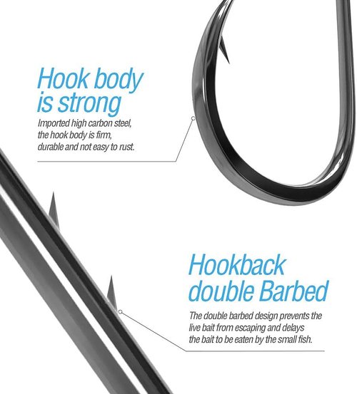 DONQL Fishing Hooks - 600Pcs Barbed Single Carp Hooks Kit for Freshwater & Saltwater Fishing