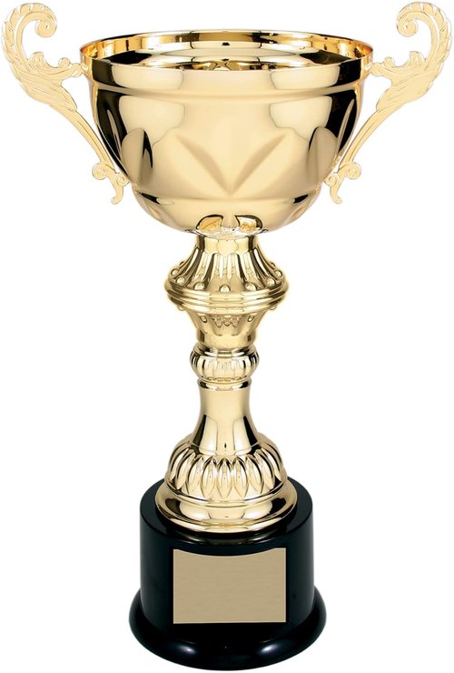 Decade Awards Metal Cup Trophy - Engraved Corporate Love Award | Gold or Silver (10-14.5 Inch Tall) - Customize Today